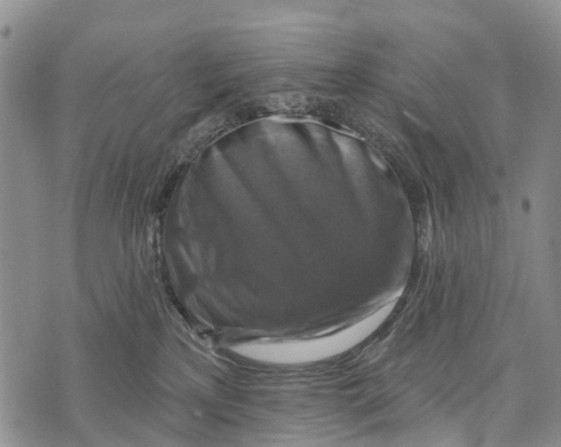 X0000073890233200609011701