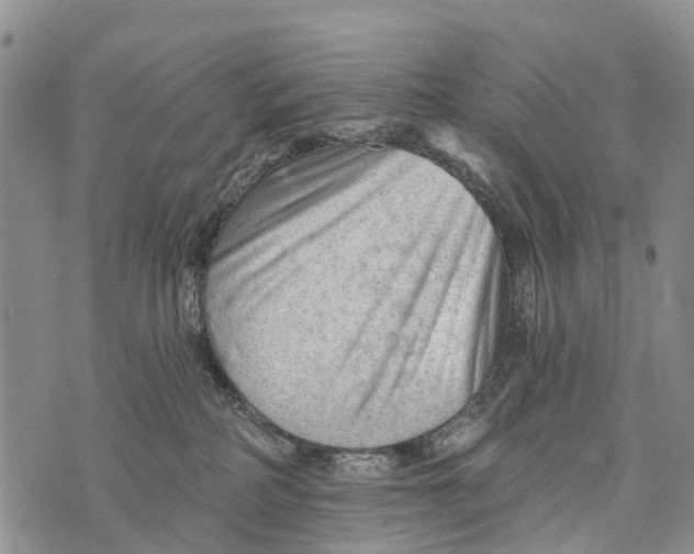 X0000073890234200609011701