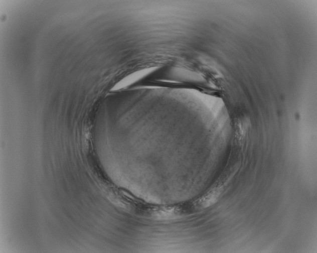 X0000073890235200609011701