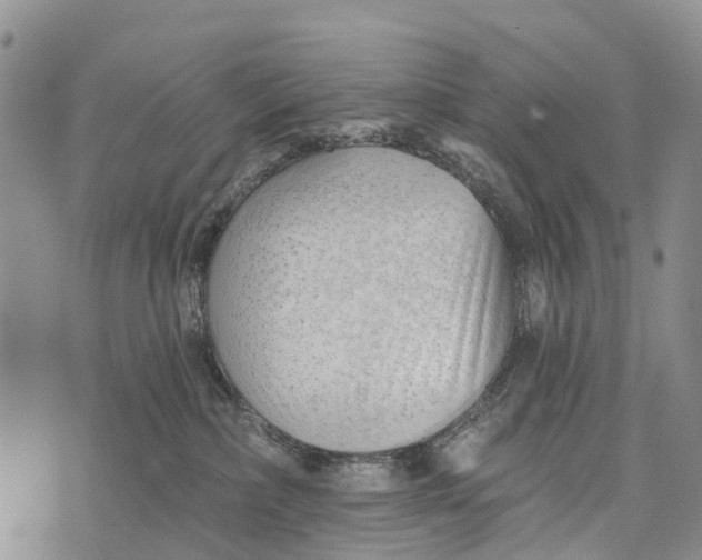 X0000073890236200609011701