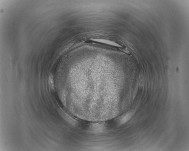 X0000073890238200609011701