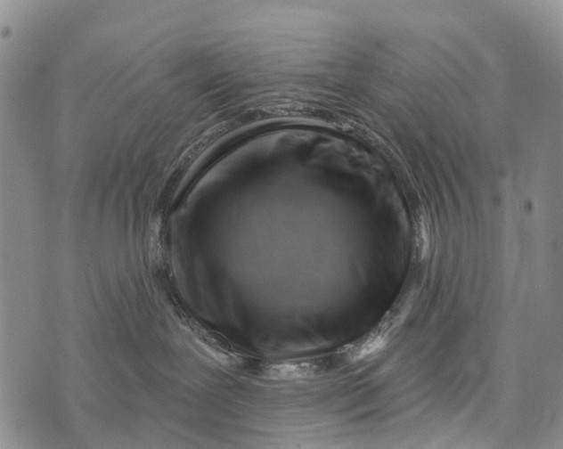 X0000073890239200609011701