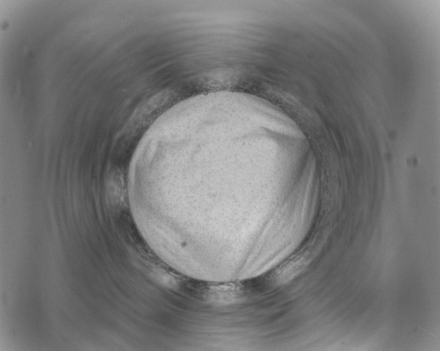 X0000073890240200609011701