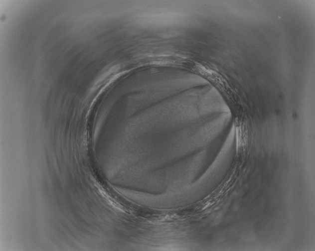 X0000073890243200609011700