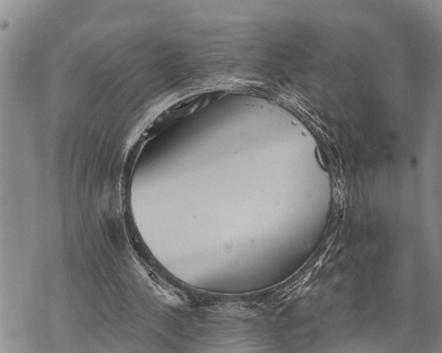 X0000073890244200609011700