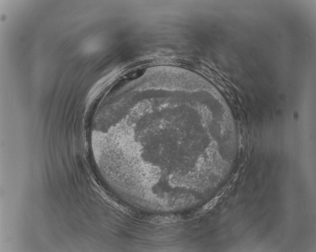 X0000073890245200609011700