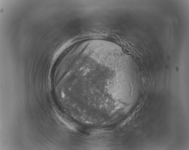 X0000073890246200609011700