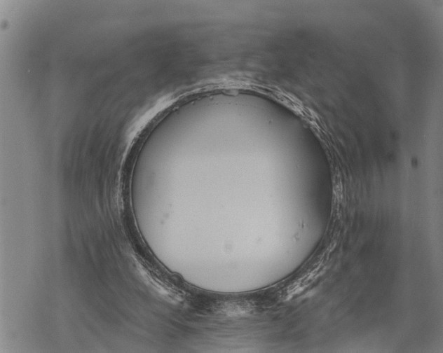 X0000073890248200609011700