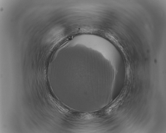 X0000073890249200609011700