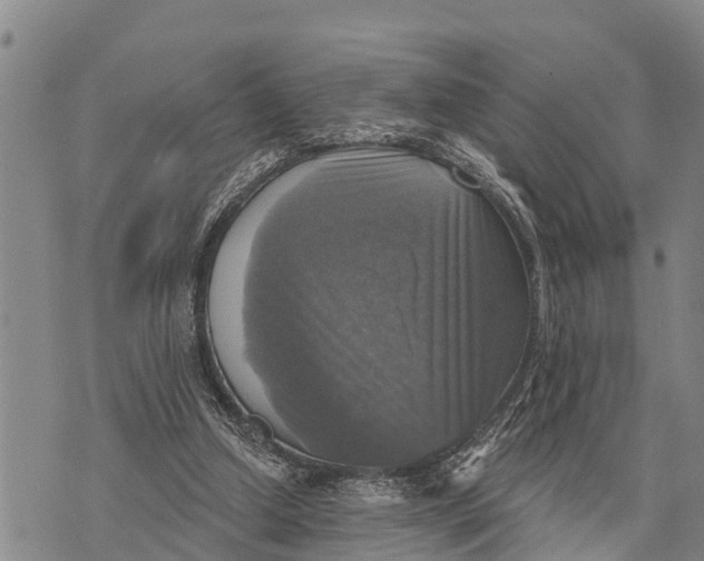 X0000073890250200609011700