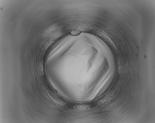 X0000073890251200609011700