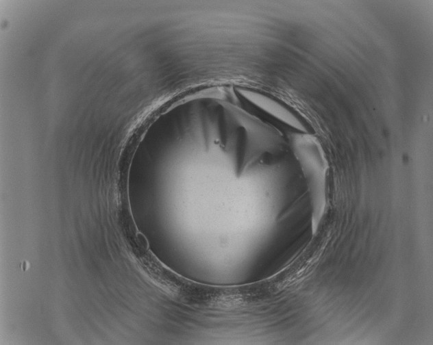 X0000073890252200609011700