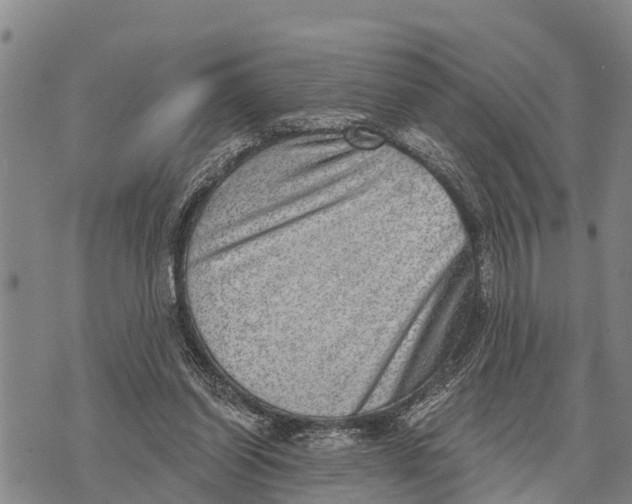 X0000073890254200609011700