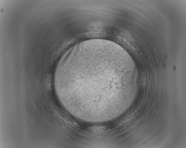 X0000073890255200609011700