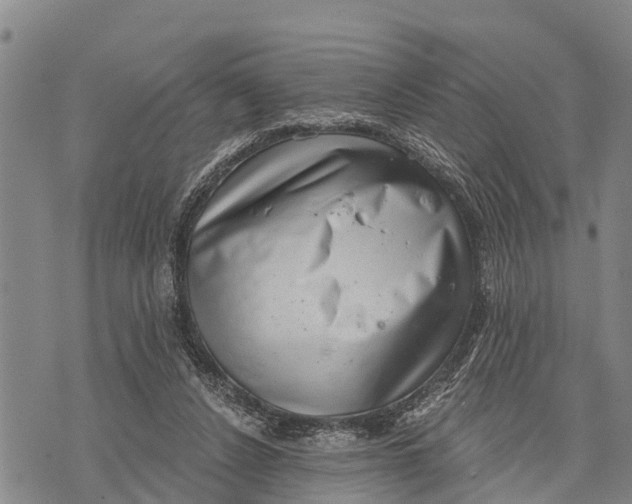 X0000073890256200609011700