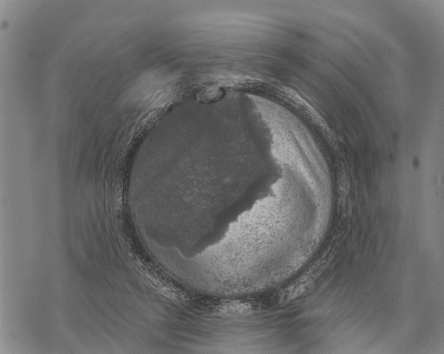 X0000073890257200609011700