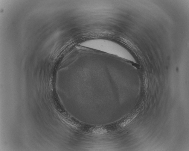 X0000073890258200609011700