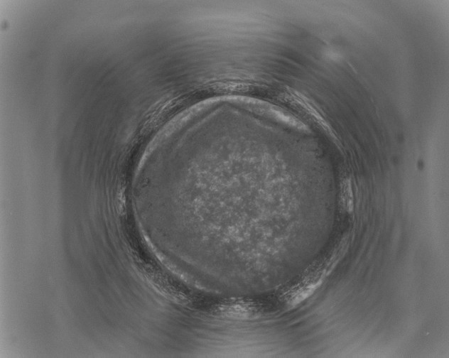 X0000073890259200609011700