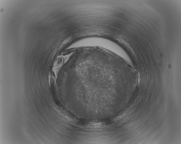 X0000073890260200609011700