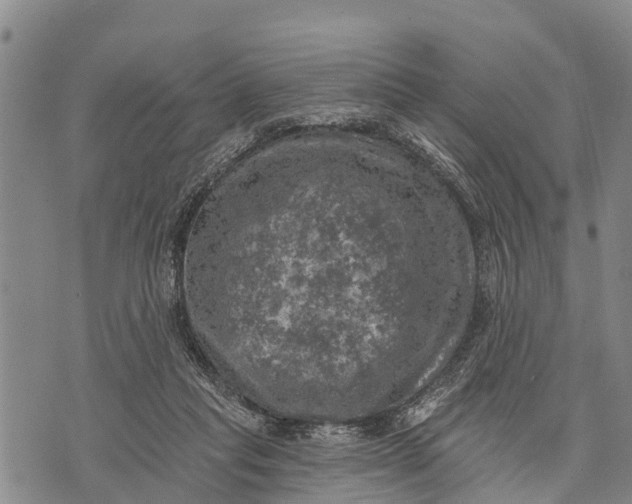 X0000073890261200609011700