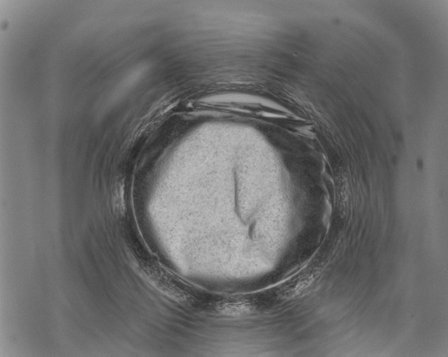 X0000073890262200609011700