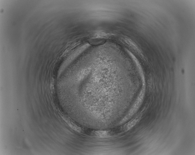 X0000073890265200609011700