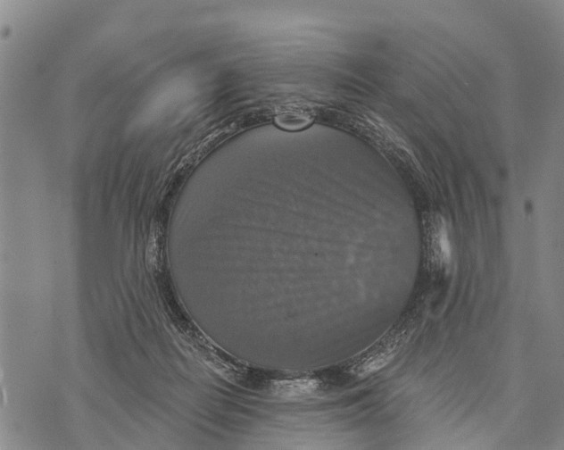 X0000073890266200609011700