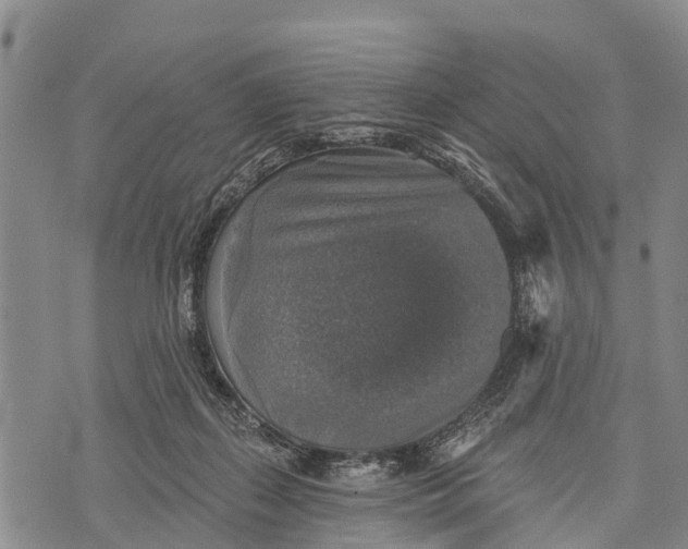 X0000073890267200609011700