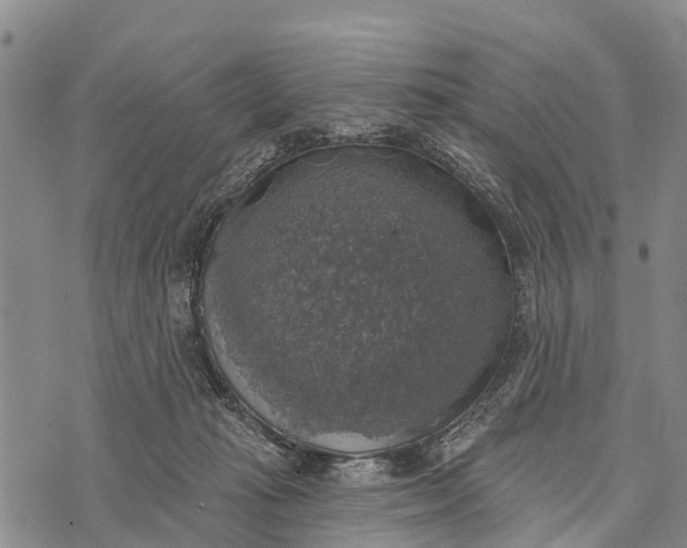 X0000073890269200609011700