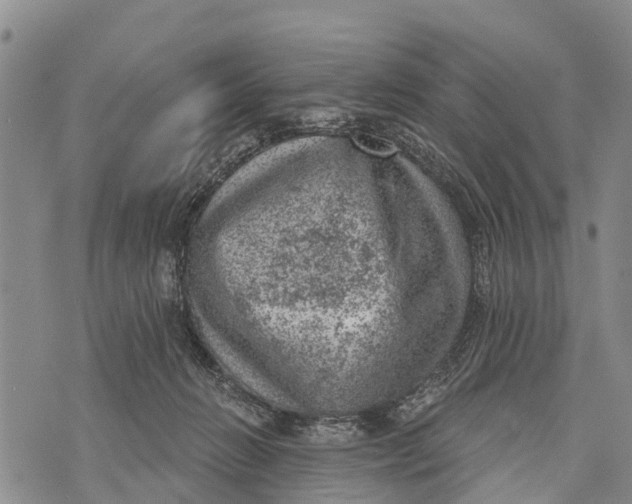 X0000073890270200609011700