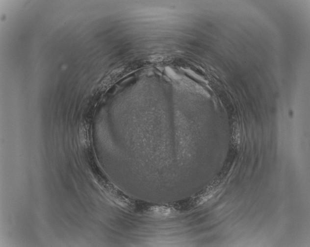 X0000073890272200609011700