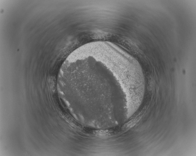 X0000073890273200609011701