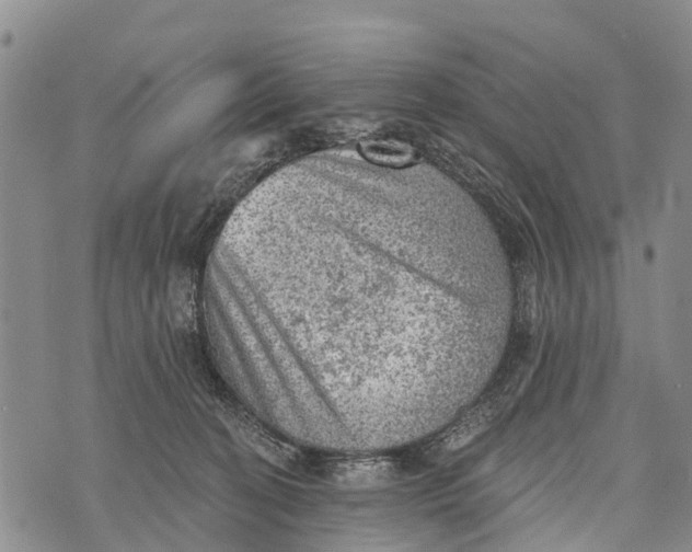 X0000073890274200609011701