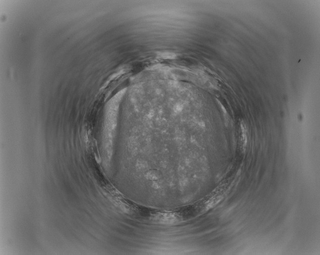 X0000073890276200609011701