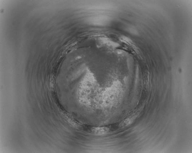 X0000073890277200609011701