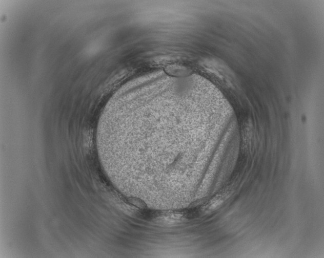 X0000073890278200609011701