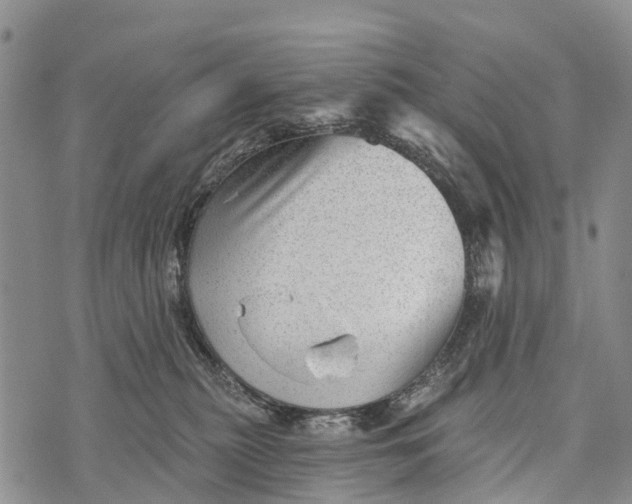 X0000073890279200609011701