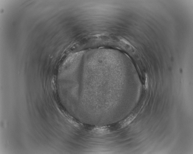 X0000073890280200609011701