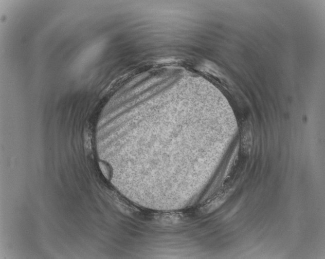 X0000073890282200609011701