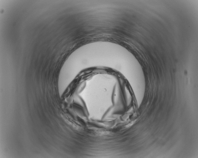 X0000073890284200609011701