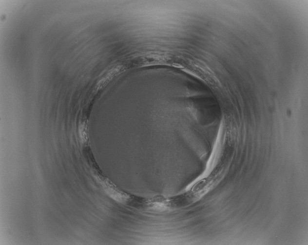 X0000073890285200609011701