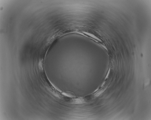 X0000073890286200609011701