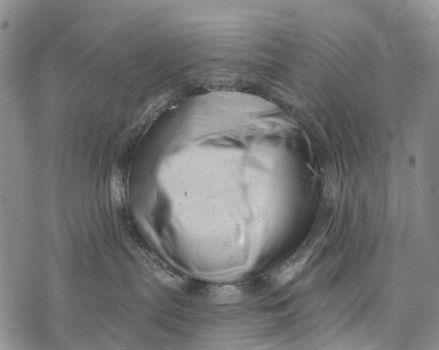 X0000073890287200609011701