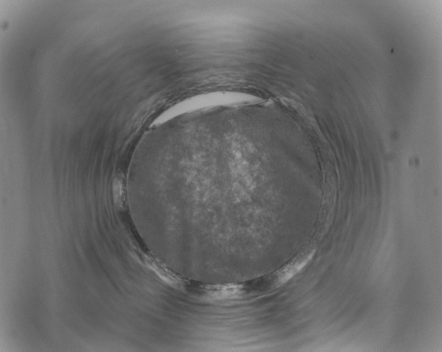 X0000073890288200609011701