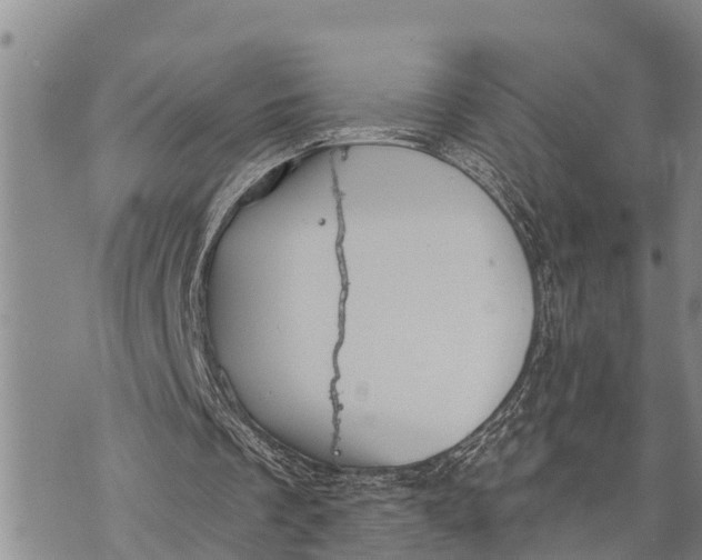 X0000073890289200609011700