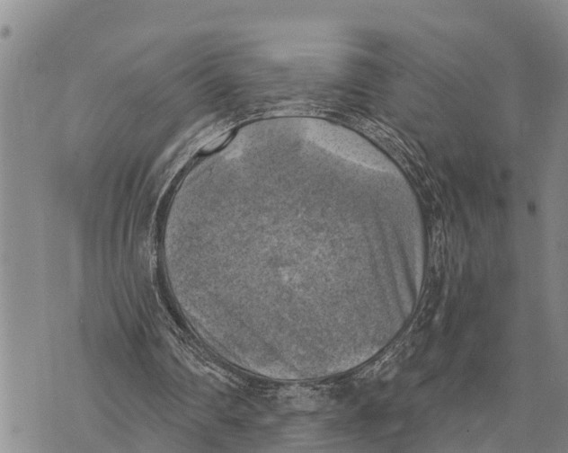 X0000073890290200609011700