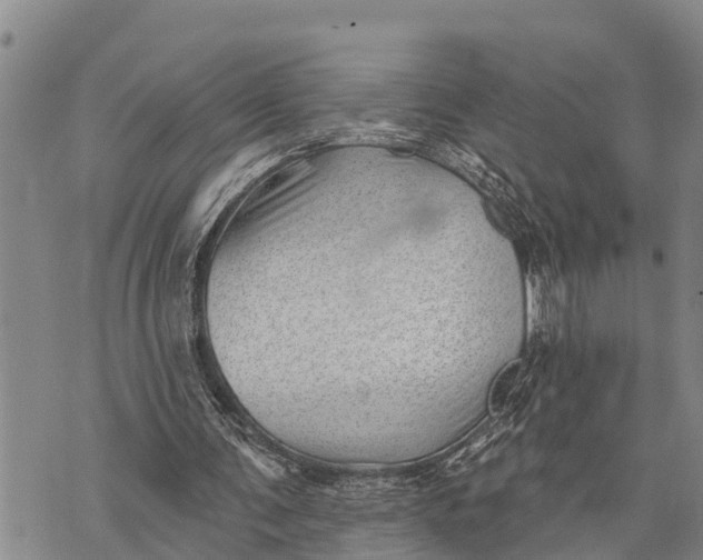 X0000073890291200609011700