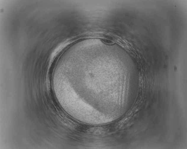 X0000073890294200609011700