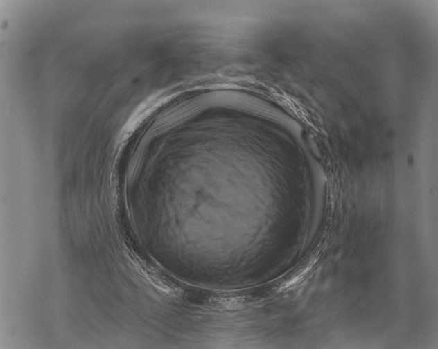 X0000073890295200609011700