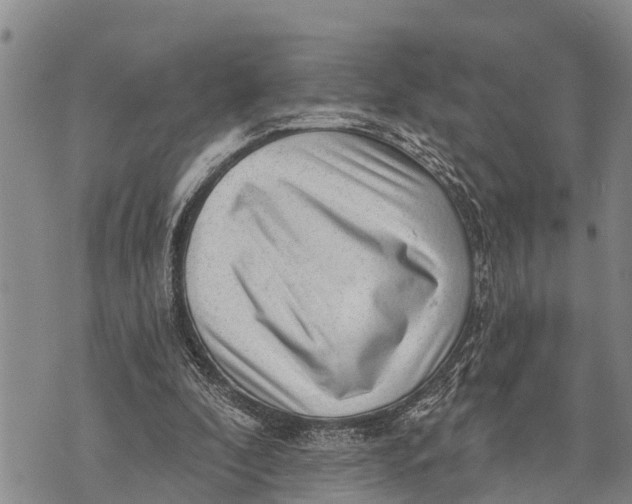 X0000073890296200609011700